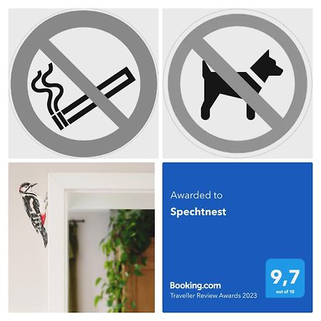 Ferienwohnung Spechtnest Naumburg  Exterior foto